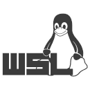 .NET Core Debugging with WSL 2 - Preview
